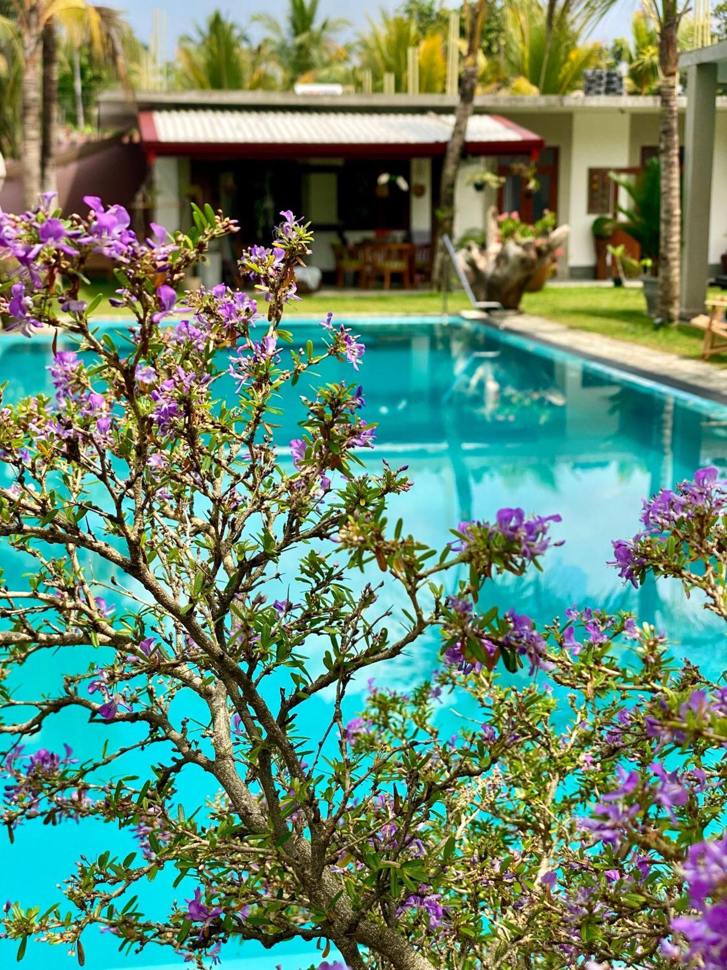 Sri Palms Bed & Breakfast Kosgoda Bagian luar foto